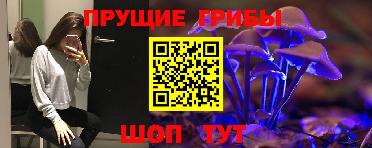 Волгодонск  Псилоцибиновые грибы Magic Shrooms  Вход с VPN  Галлюциногенные грибы прущие грибы 
